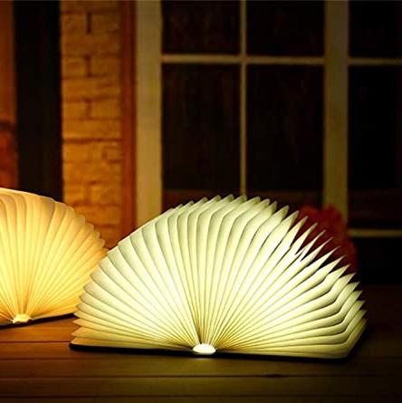 Betoverde Boek Lamp