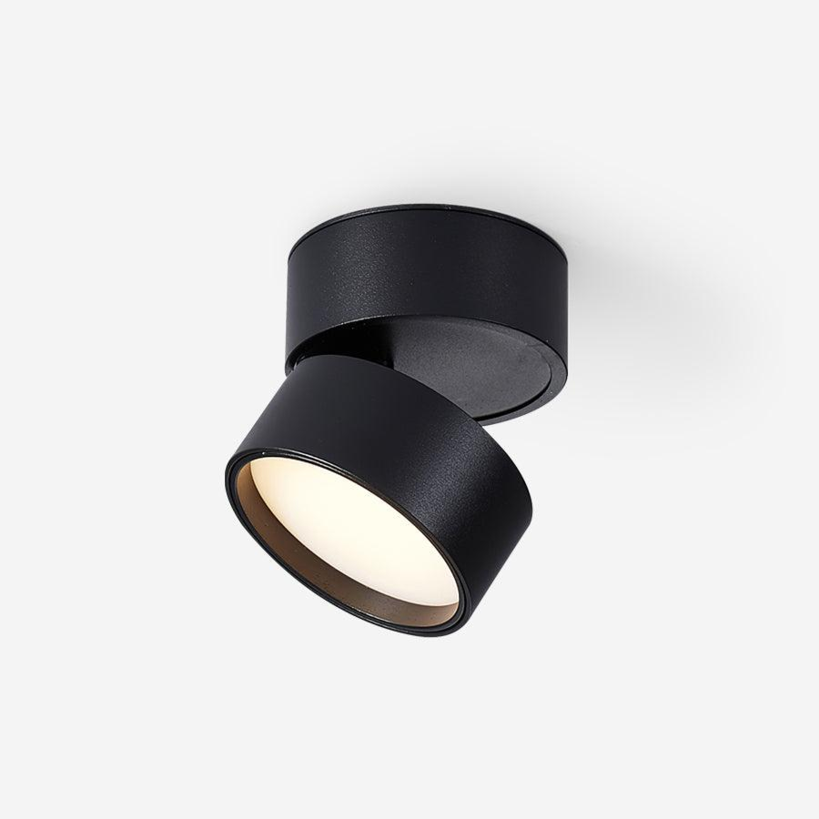 Favilla Opbouw Plafondlamp