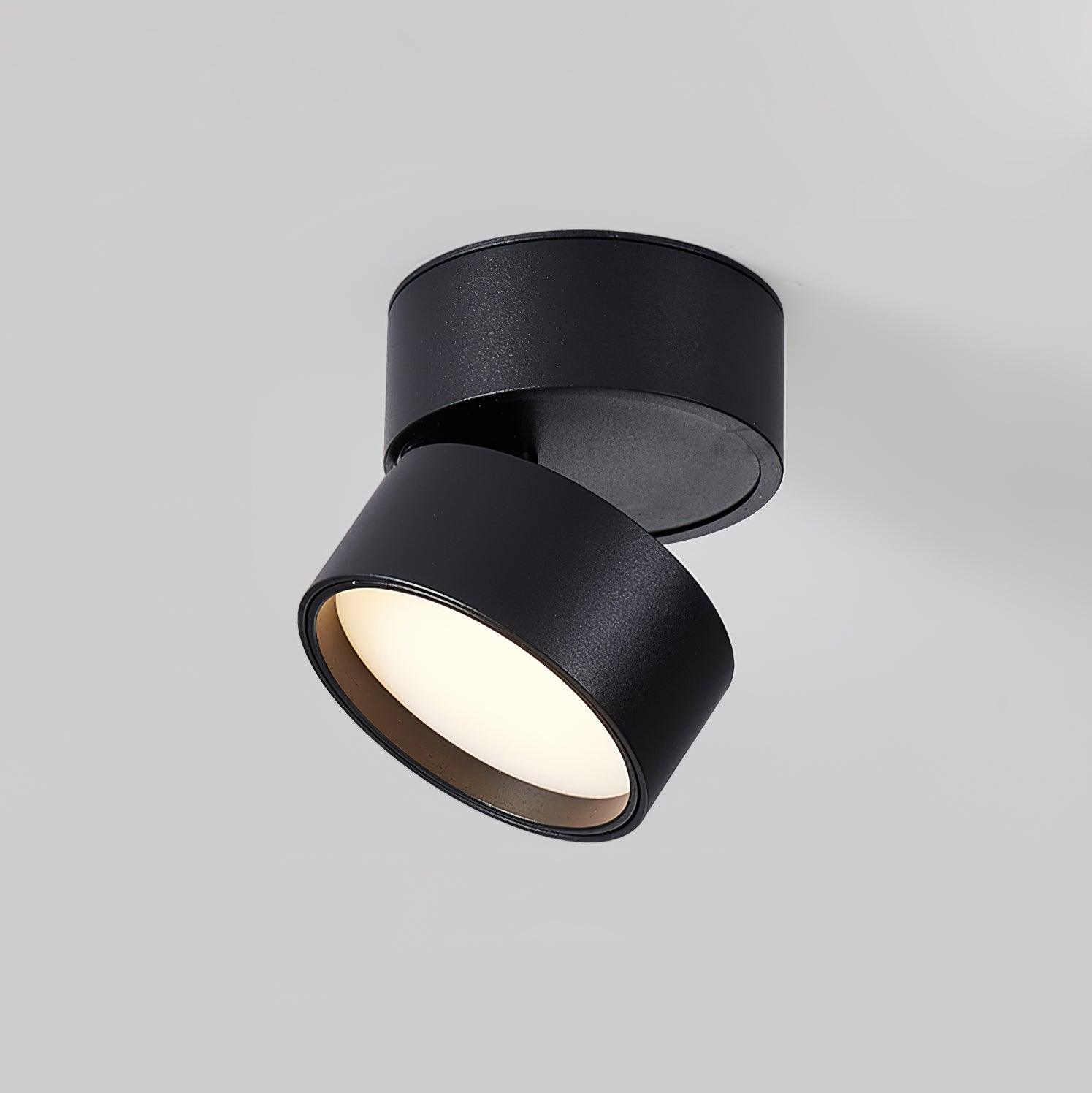 Favilla Opbouw Plafondlamp