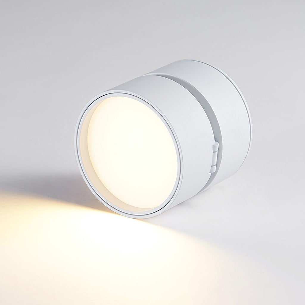 Favilla Opbouw Plafondlamp
