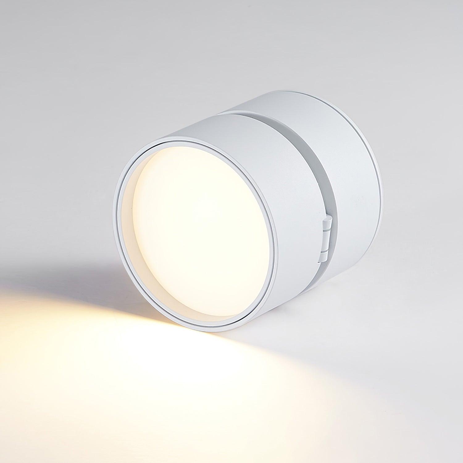 Favilla Opbouw Plafondlamp