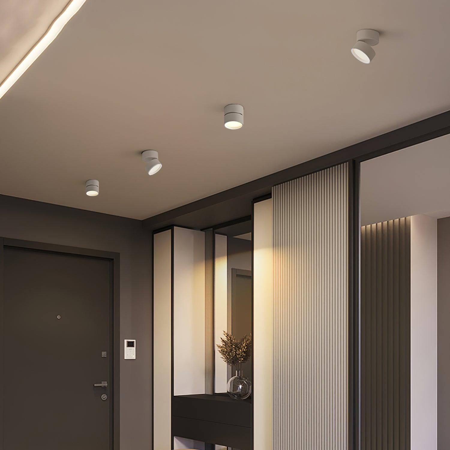 Favilla Opbouw Plafondlamp