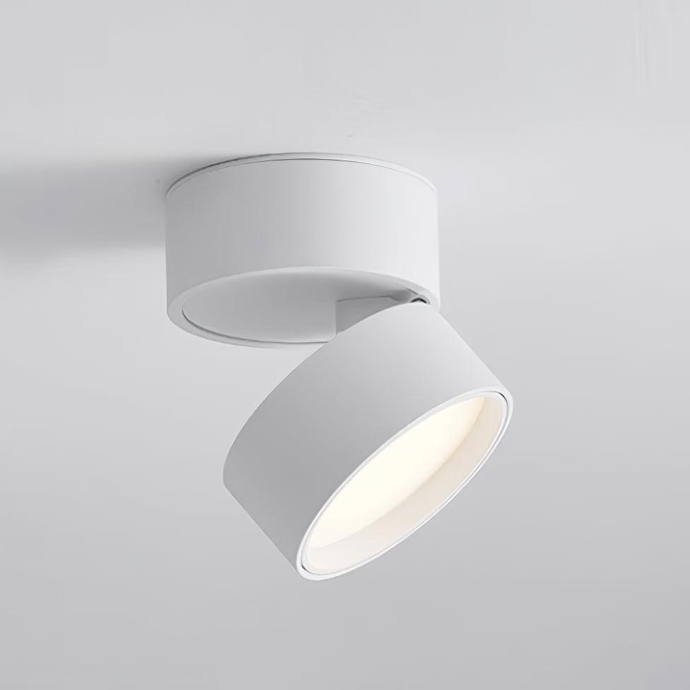 Favilla Opbouw Plafondlamp