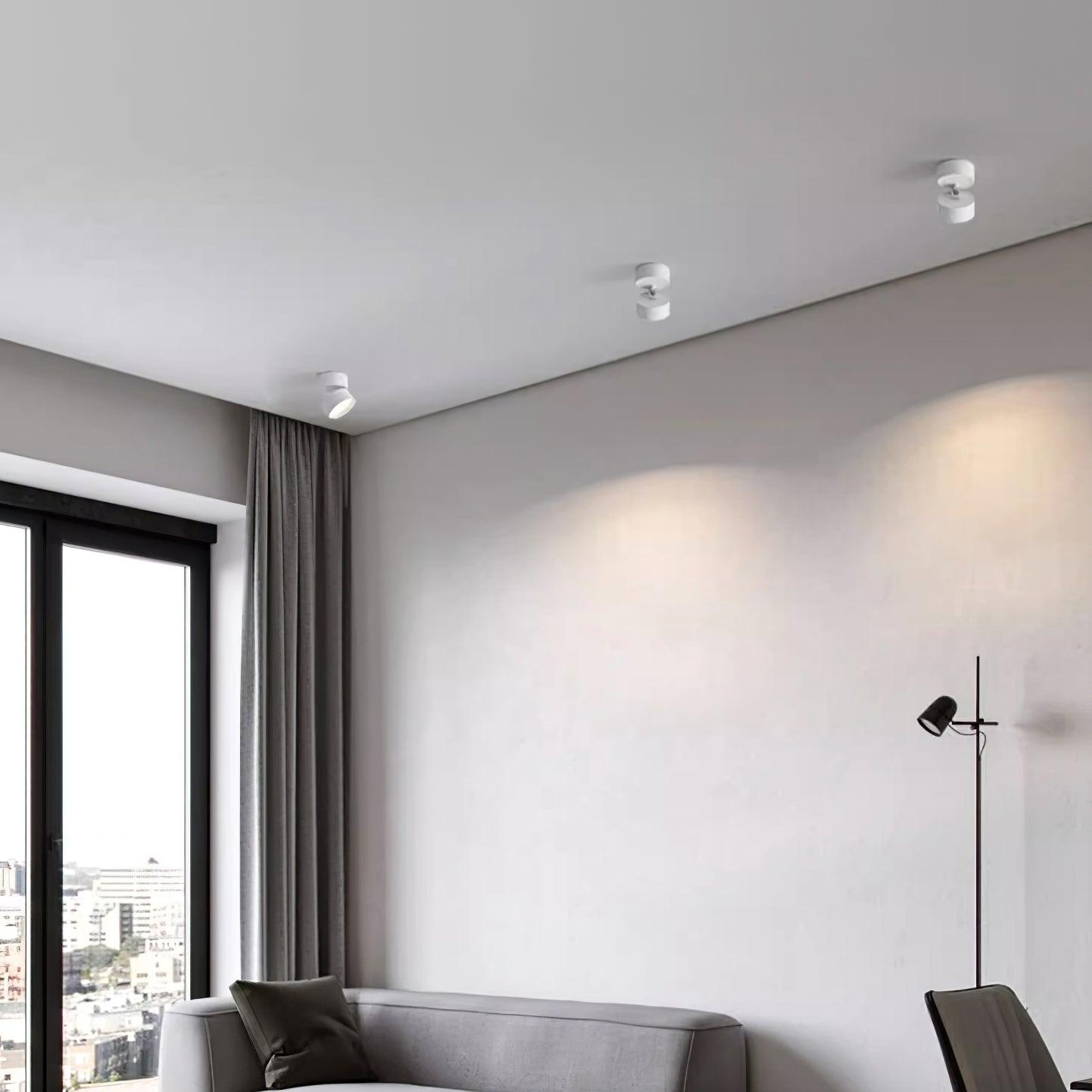 Favilla Opbouw Plafondlamp
