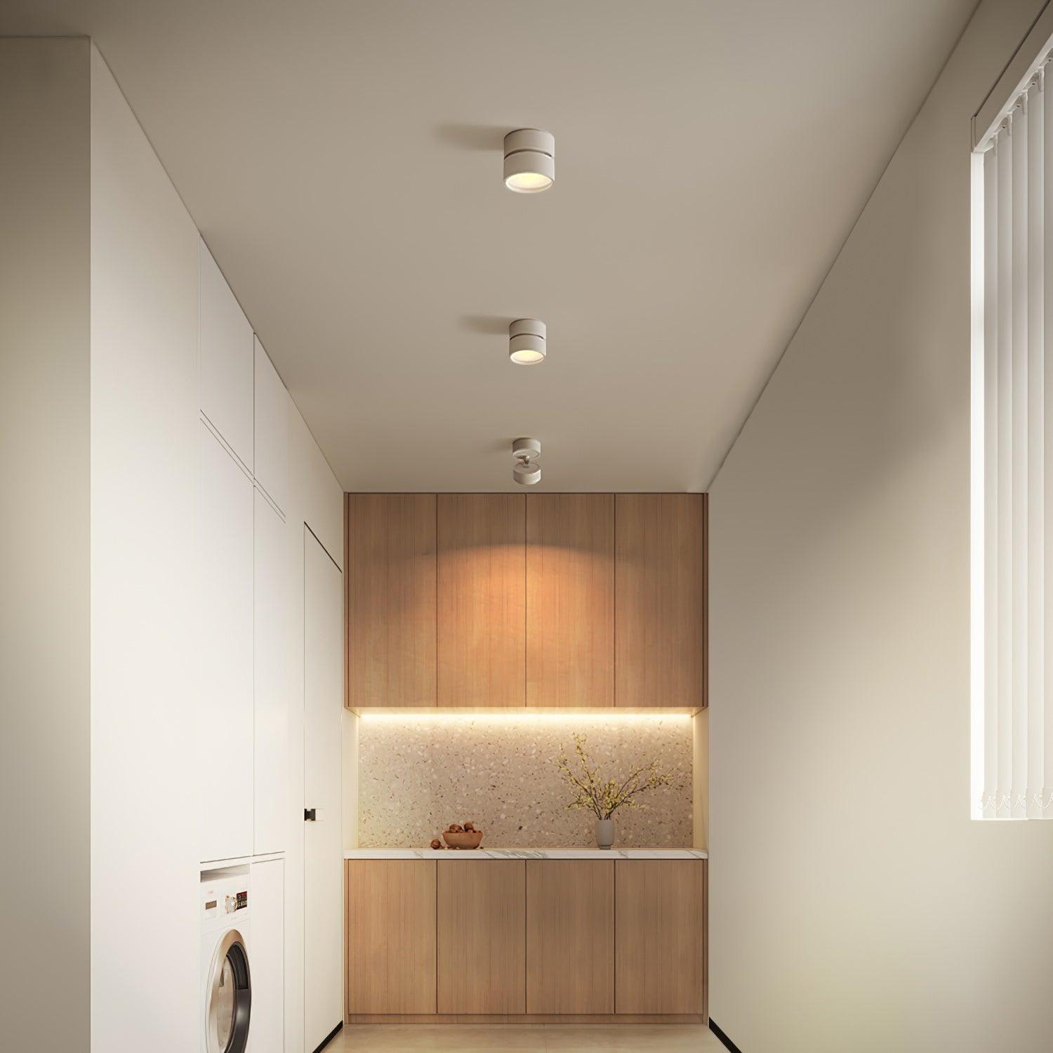 Favilla Opbouw Plafondlamp