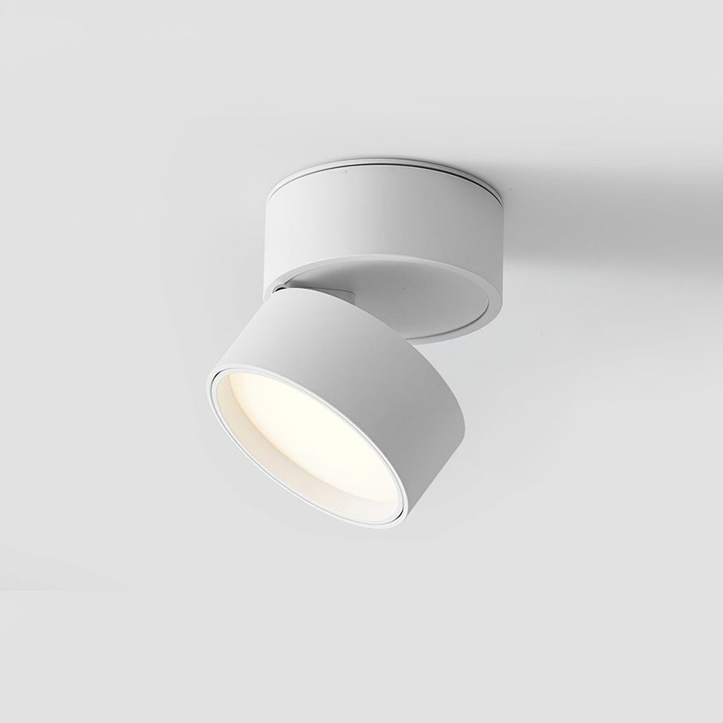 Savvina Oppervlakte Plafondlamp