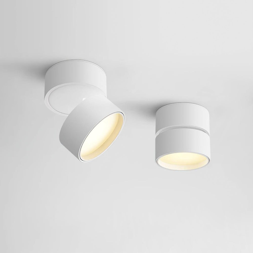 Savvina Oppervlakte Plafondlamp
