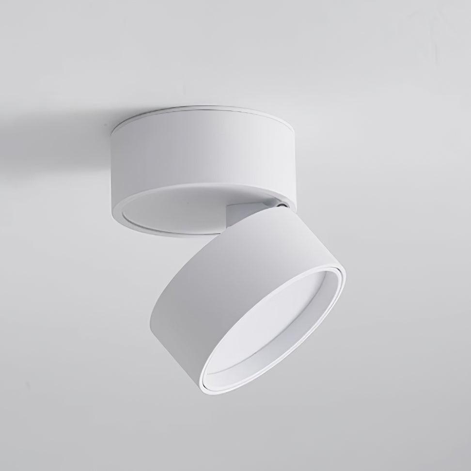 Savvina Oppervlakte Plafondlamp