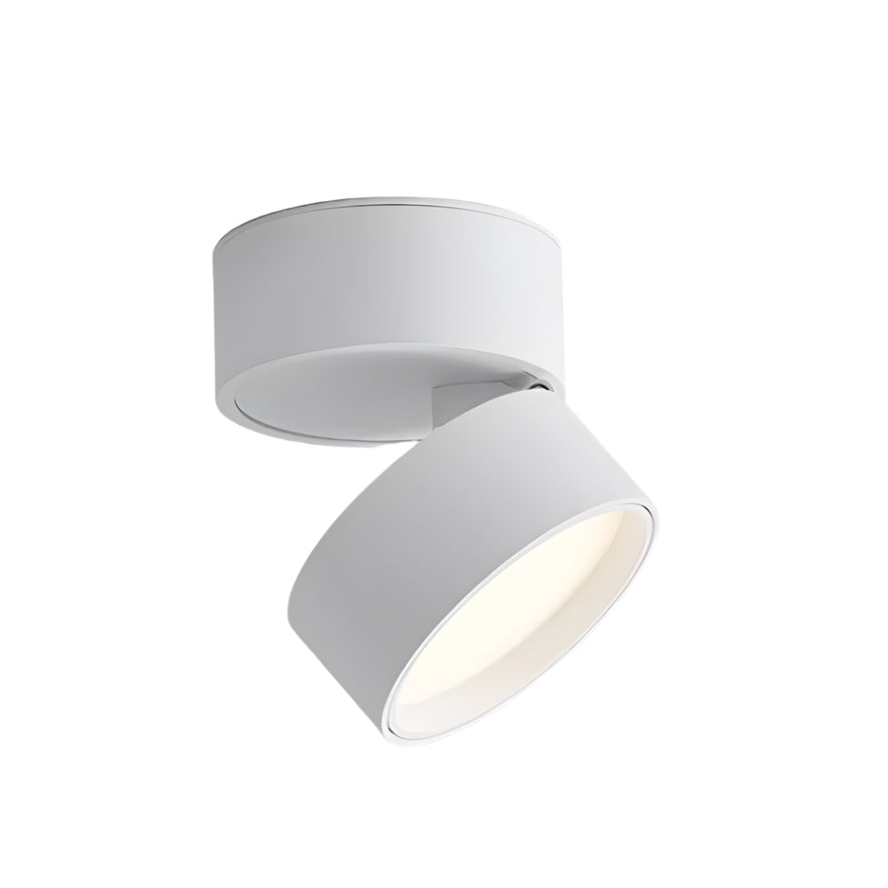 Savvina Oppervlakte Plafondlamp