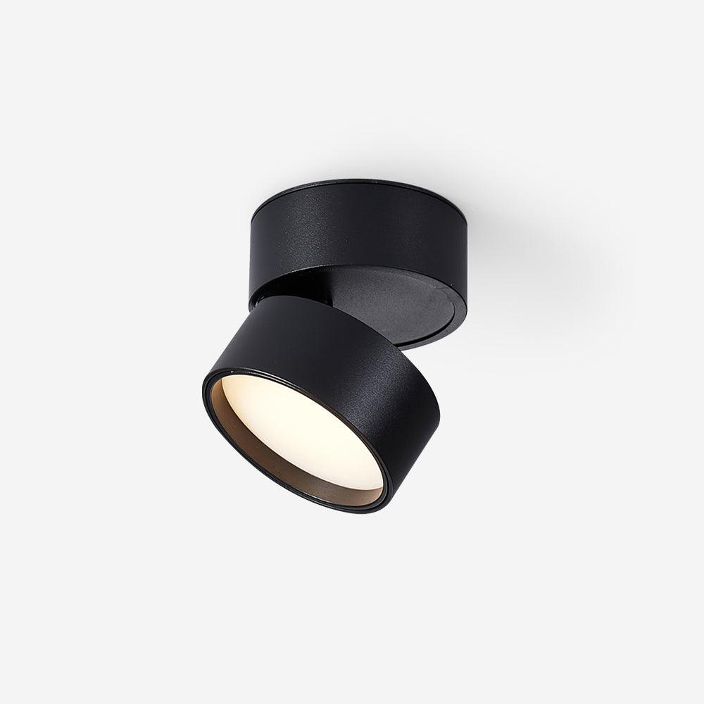 Savvina Oppervlakte Plafondlamp