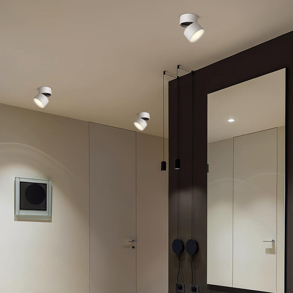 Savvina Oppervlakte Plafondlamp