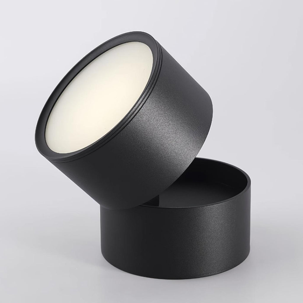 Savvina Oppervlakte Plafondlamp