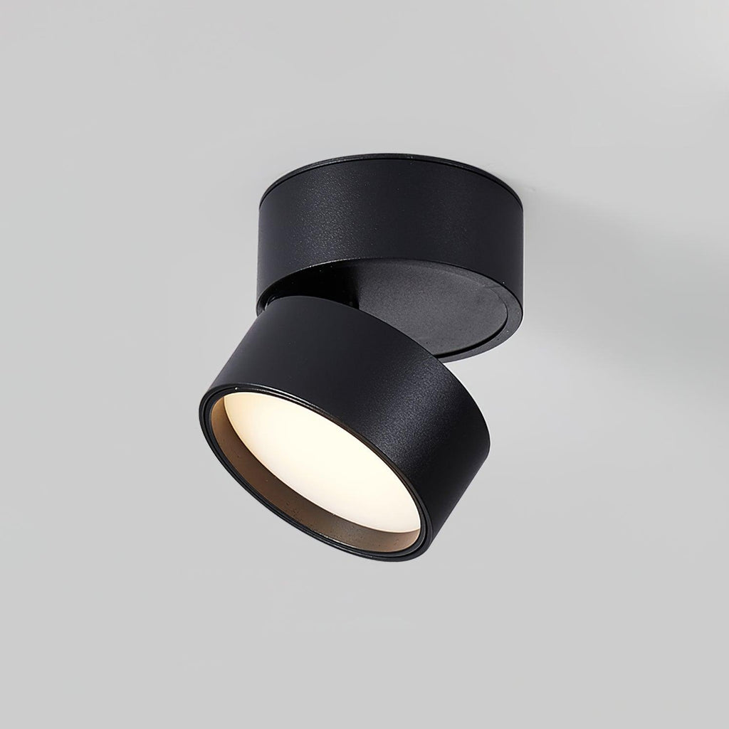Savvina Oppervlakte Plafondlamp