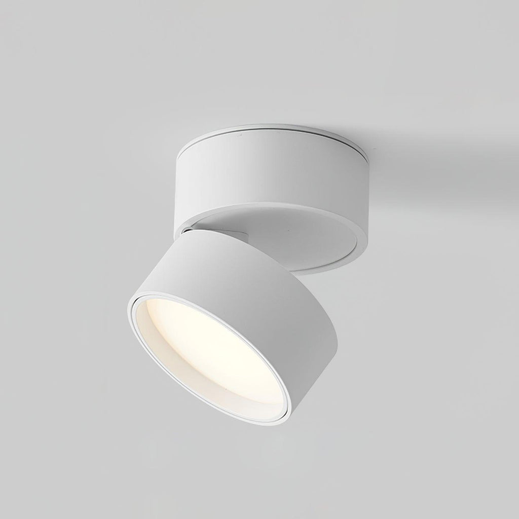 Savvina Oppervlakte Plafondlamp