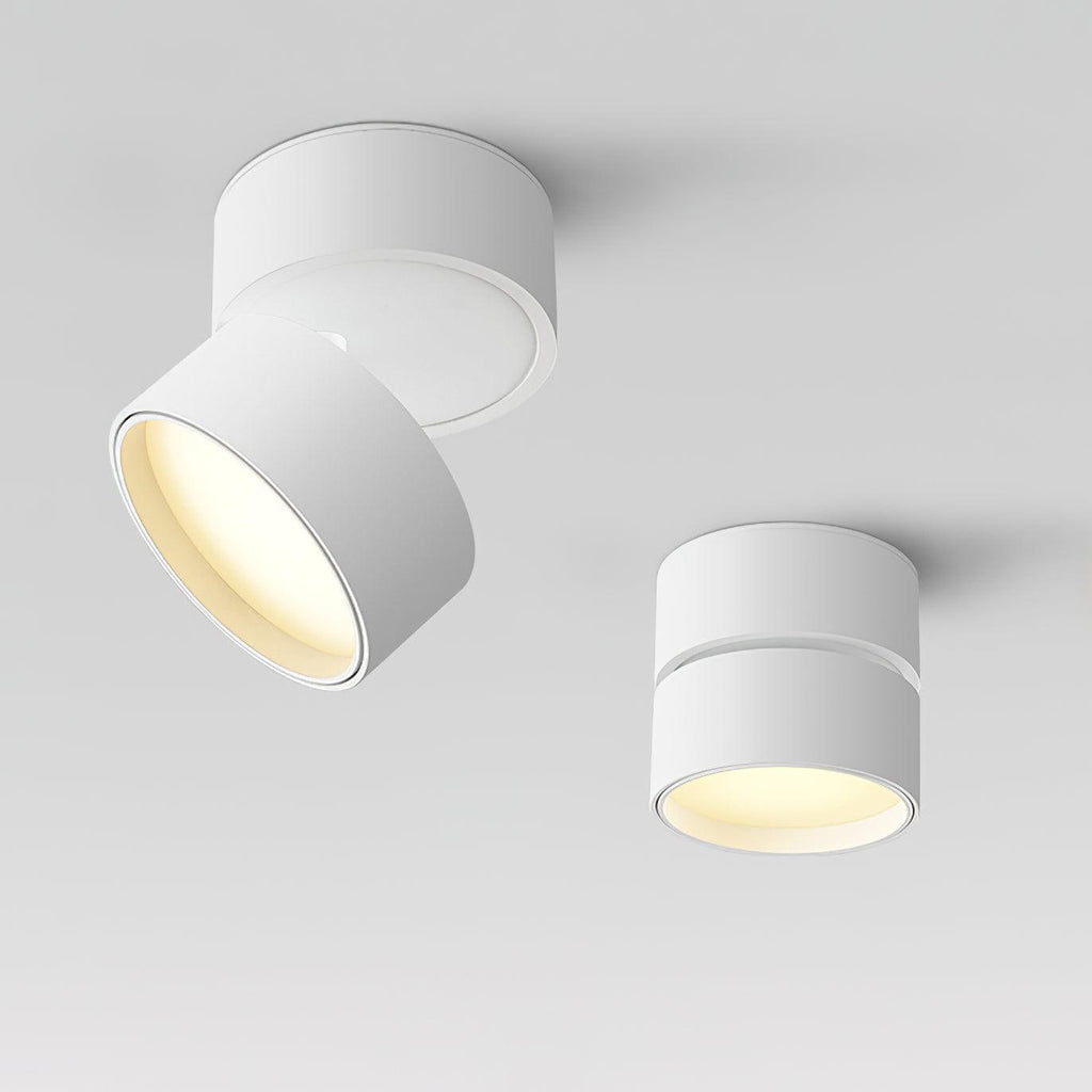 Savvina Oppervlakte Plafondlamp
