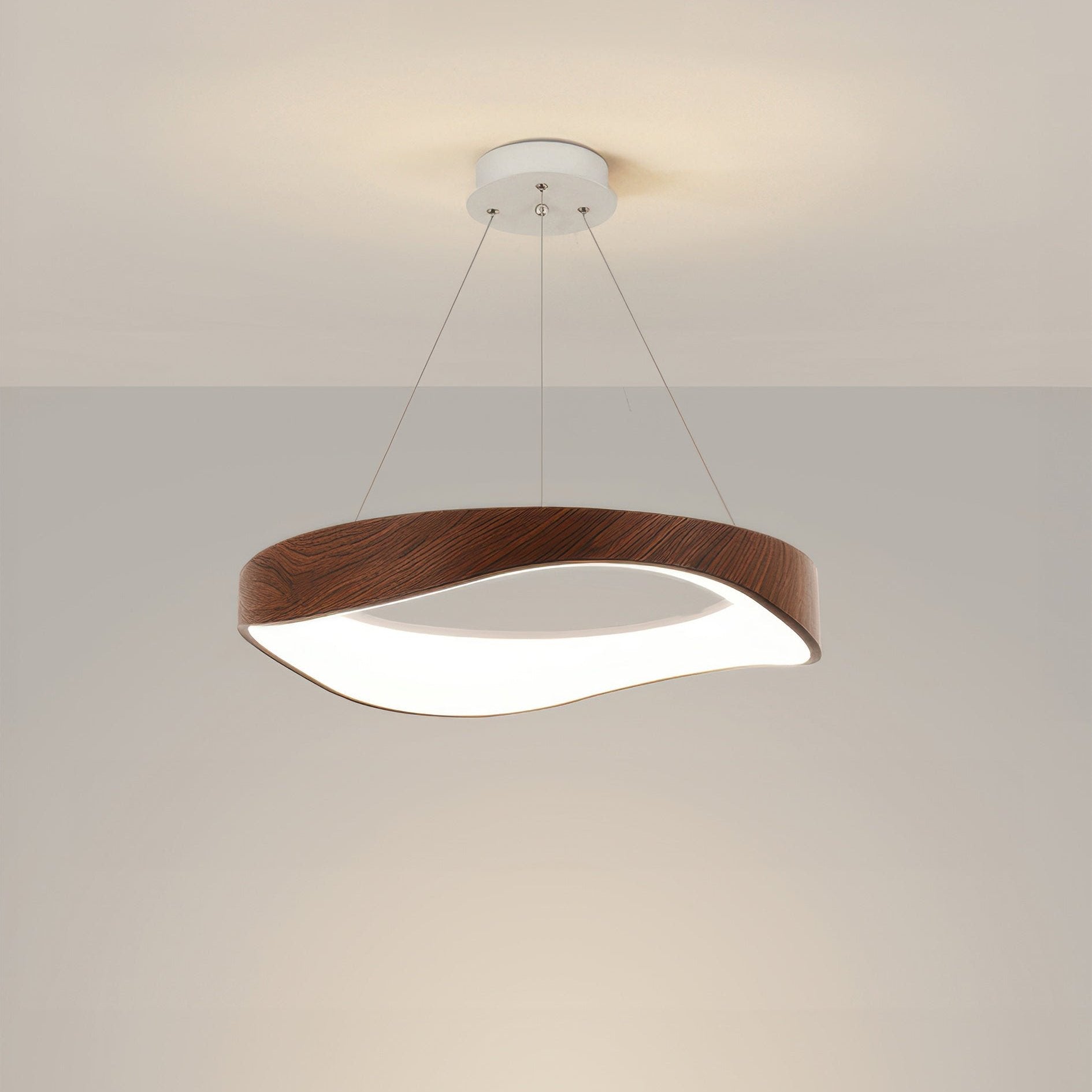 Moderne ronde LED- Hanglamp voor veelzijdige binnenverlichting