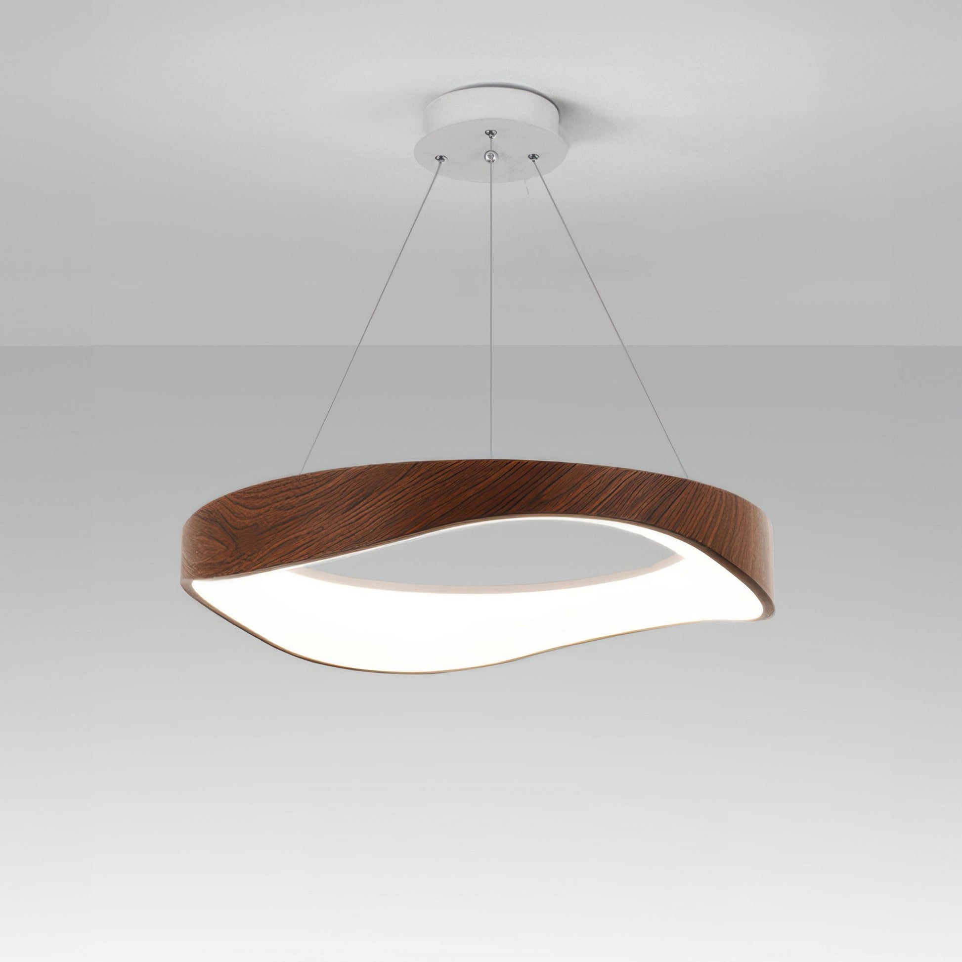 Moderne ronde LED- Hanglamp voor veelzijdige binnenverlichting