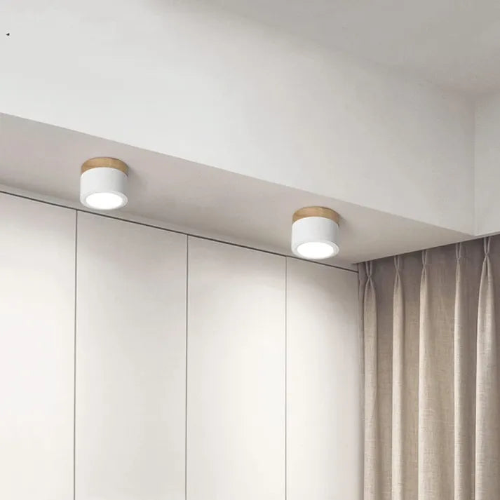 Scandinavische Cilinder LED-Plafondlampen voor Gangen