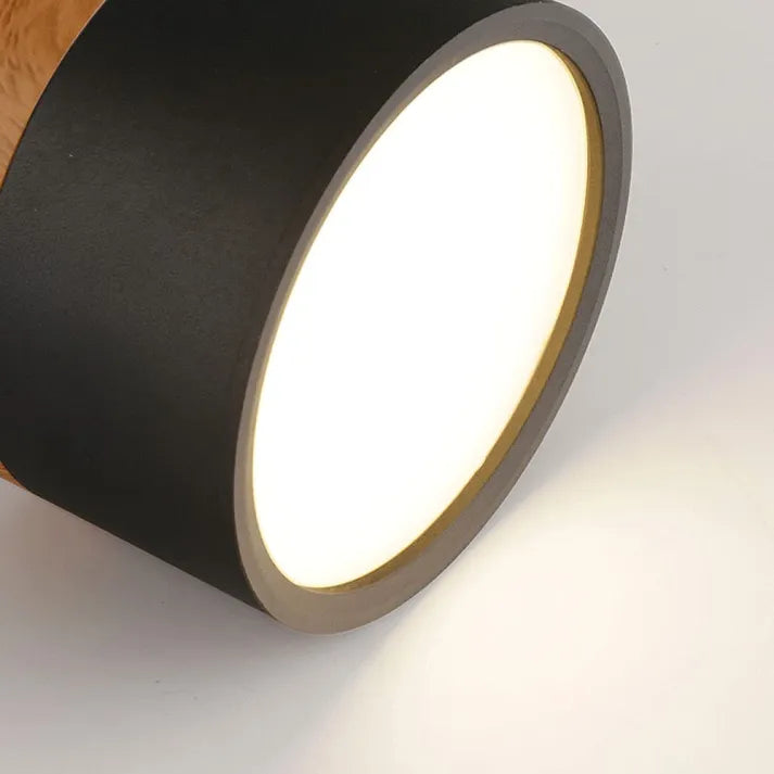Scandinavische Cilinder LED-Plafondlampen voor Gangen
