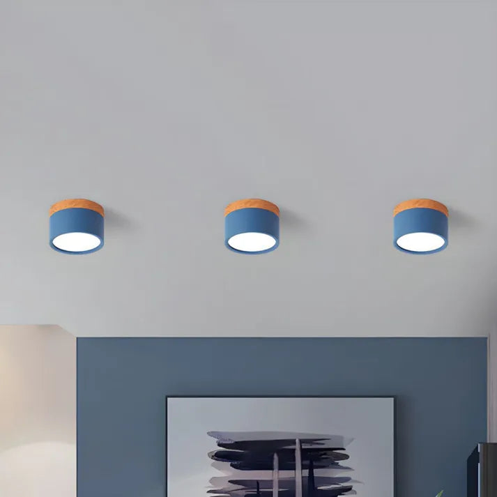 Scandinavische Cilinder LED-Plafondlampen voor Gangen