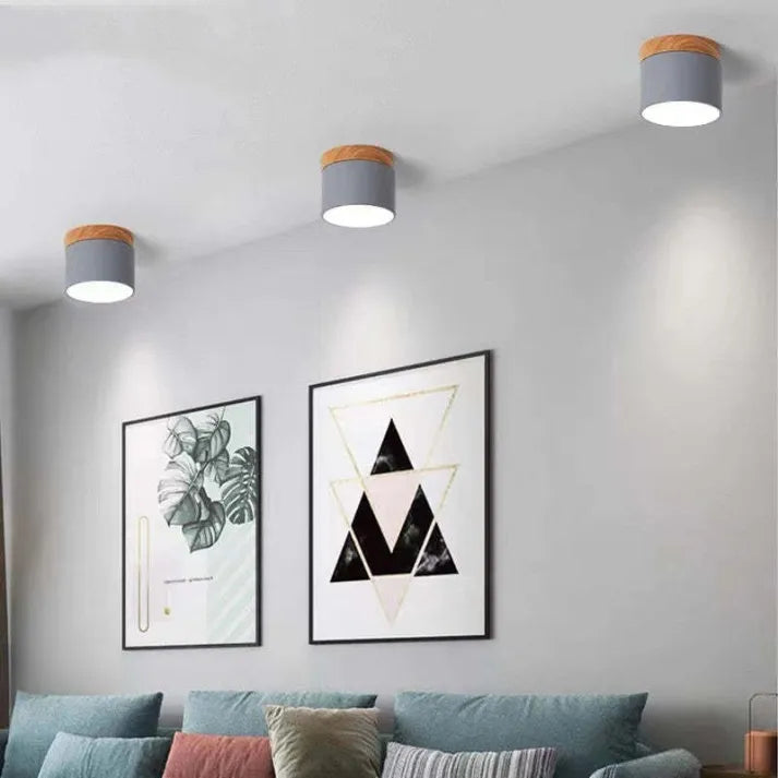 Scandinavische Cilinder LED-Plafondlampen voor Gangen